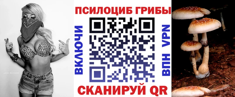 дарк нет телеграм  Гатчина  Галлюциногенные грибы Cubensis 