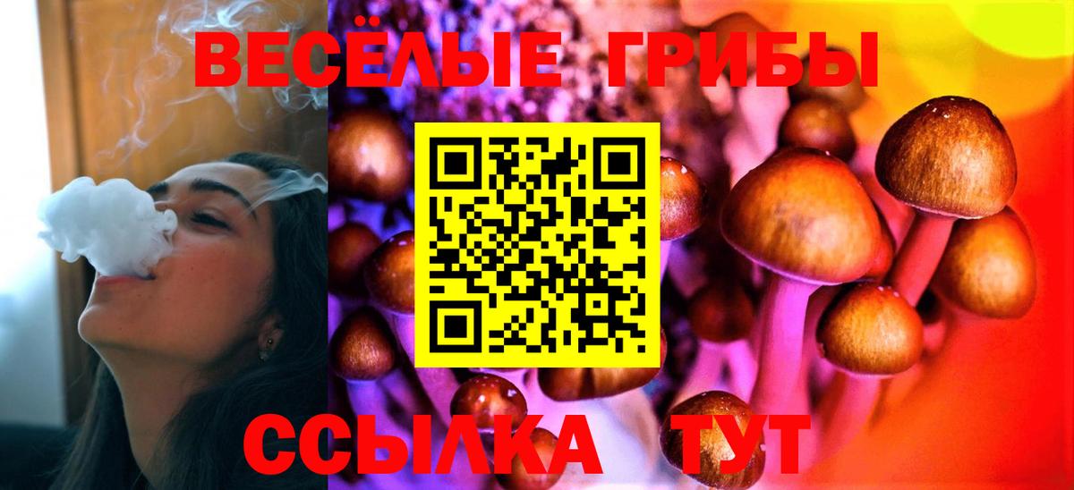 Псилоцибиновые грибы Psilocybine cubensis  Псилоцибиновые грибы мицелий  Гатчина  Вход с VPN 